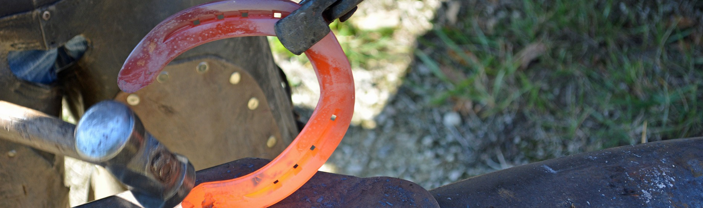 Service und Co. für alle Tiere